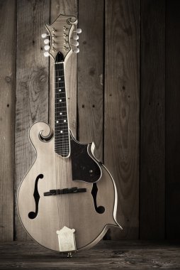 rustik arka plan üzerinde klasik mandolin