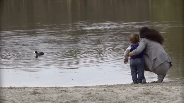 Mi madre y su hijo mirando a un pato — Vídeos de Stock