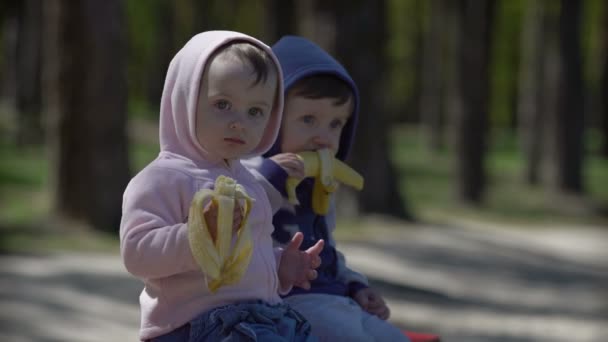 Two young children eating bananas sitting on the bench — Stock Video