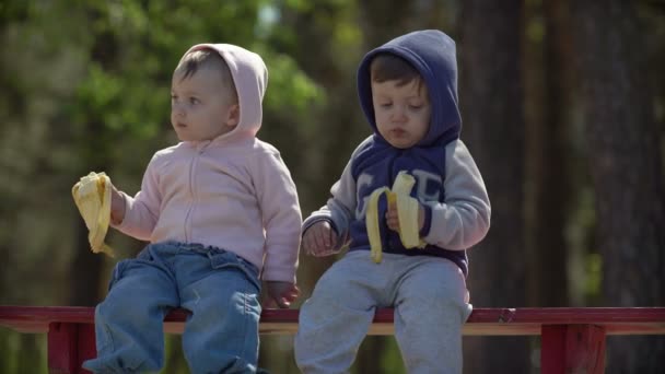 Dos niños pequeños comiendo plátanos sentados en el banco — Vídeos de Stock