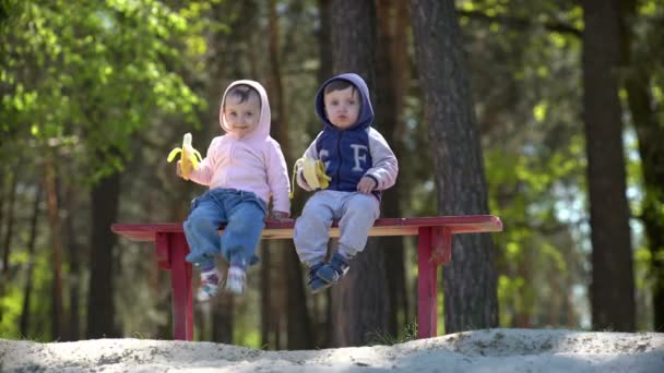 Dos niños pequeños comiendo plátanos sentados en el banco — Vídeo de stock