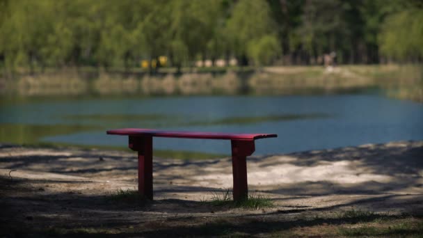 Bancos en el parque junto al lago — Vídeos de Stock