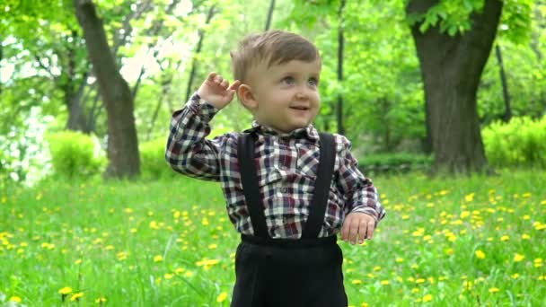 Bambino sull'erba su cui cadono i petali dagli alberi, rallentatore — Video Stock