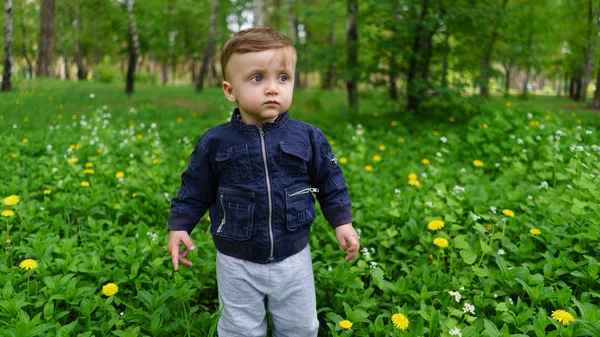 Adorable baby in spring forest — Stock Photo, Image