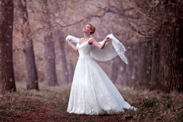 Bride in a wedding dress in the woods — Stock Photo, Image