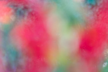 Arka plan için çiçek üzerinden renkli doku blur