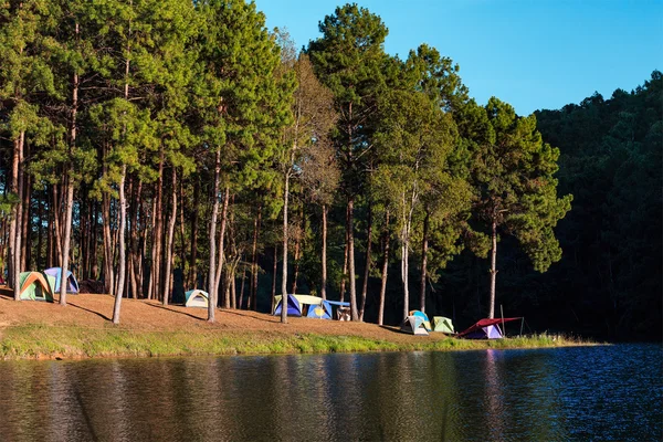 Barracas de cúpula perto de lago e pinheiros no local de acampamento em Pang Ung — Fotografia de Stock