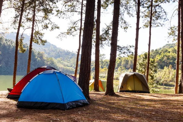 Tents in camping site near lake