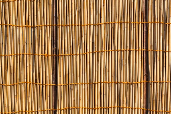 Bamboo Texture — Stock Photo, Image