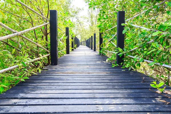 Most drewniany spaceru w parku — Zdjęcie stockowe
