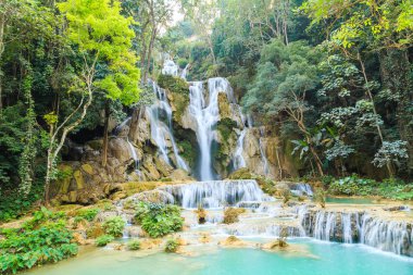 Tat Kuang Si şelaleler Laos