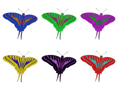 Spot Swardtail kelebek renkli izole