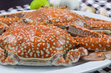 Akarsu mavi yengeçler ( kum yengeç )