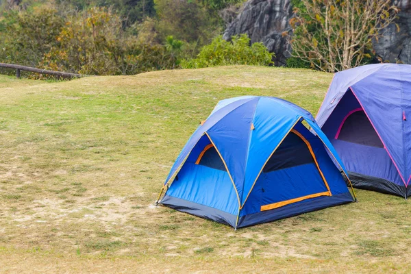 Dome stan na zelené trávě — Stock fotografie