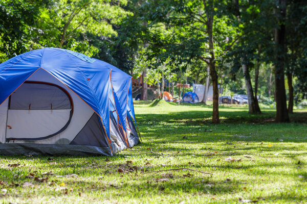 Купольная палатка на траве
