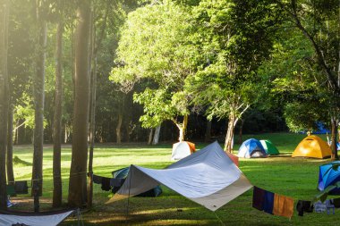 Ormanda kamp yapmak.