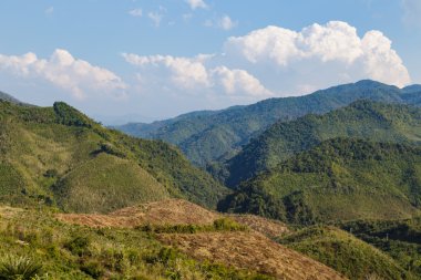 Laos yüksek Dağı'nda yeşil orman