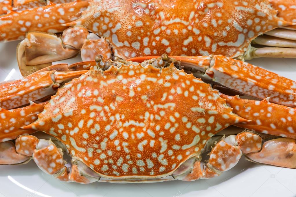 Streamed blue crabs ( sand crab ) — Stock Photo © mathisa 79400412