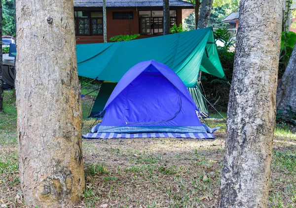 Tenda cupola blu per campeggio — Foto Stock