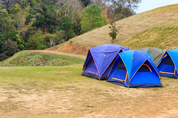 Dome namiot na zielonej trawie — Zdjęcie stockowe