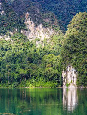 Parlak ağaç ve dağ yansıtan 
