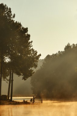 Sabah güneş ışığı altında kamp sitesi