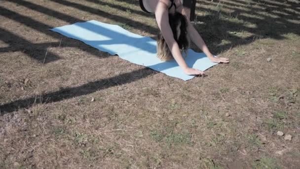 Молода жінка практикує антигравітаційну йогу на гамаку в парку. Дівчинка займається мухами, літом з аерозйоги в природі. — стокове відео