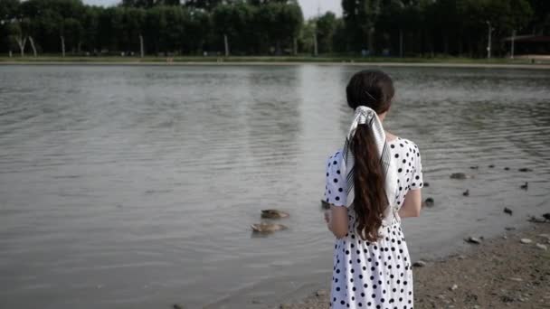 Νεαρή όμορφη γυναίκα με μακρύ φόρεμα ταΐζει πάπιες στη λίμνη. Καλοκαίρι. θέα από πίσω — Αρχείο Βίντεο