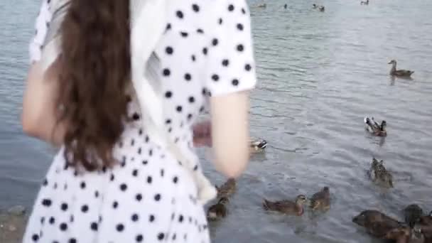 Žena krmí hladové kachny a draky v parku v létě — Stock video
