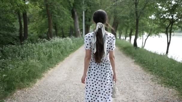 Junge Frau mit langen Haaren spaziert im Sommer im Park am See entlang. Blick von hinten — Stockvideo