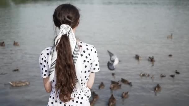 Jonge mooie romantische vrouw in jurk met lang haar voedt eenden in de zomer op het meer. zicht van achteren — Stockvideo