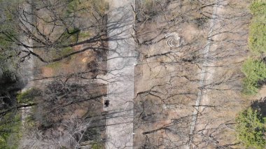 İlkbaharda bir şehir parkının havadan görünüşü (sonbahar). Parkta yürüyüş yolları