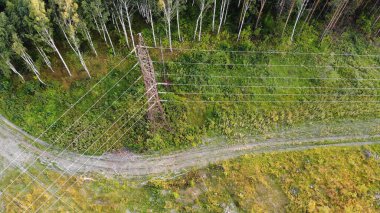 Aerial top down 4k view of the power lines located in the forest.