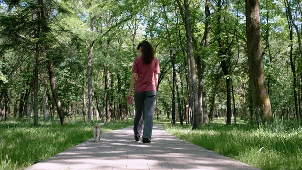 Young woman in protective mask on his face walking in Park with small dog Chihuahua. View from back.