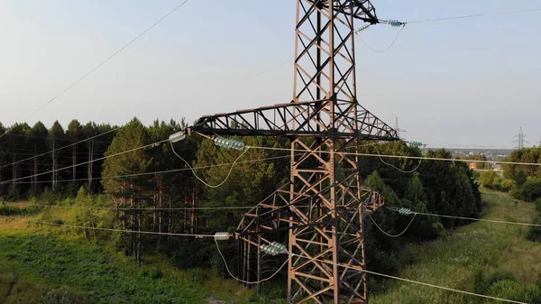 Linhas Energia Postais Localizadas Floresta — Fotografia de Stock