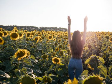Güneşli, güzel, neşeli genç bir kadının el ele tutuşup güneşin doğuşunu ya da batışını seyrettiği bir resim. Ayçiçeği tarlasında tek başına dur. Anın tadını çıkar.