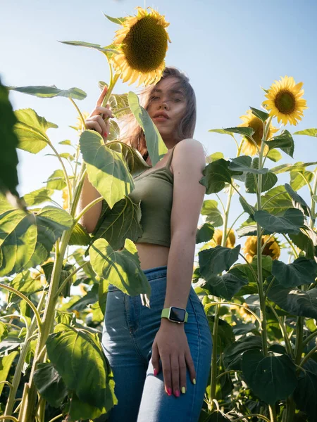 Giovane Contadina Posa Con Raccolto Grandi Girasoli Enormi Nel Campo — Foto Stock