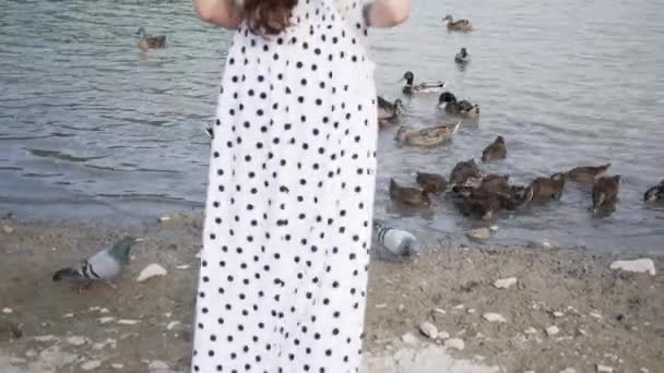 Mujer joven en vestido blanco largo alimenta patos en verano en el lago — Vídeos de Stock