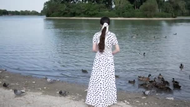 Mujer joven en vestido blanco largo alimenta patos en verano en el lago — Vídeos de Stock