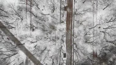 Kış parkında kar yolları, insansız hava aracı manzarası. Patikası olan güzel bir orman. Güzel kış parkı manzarası