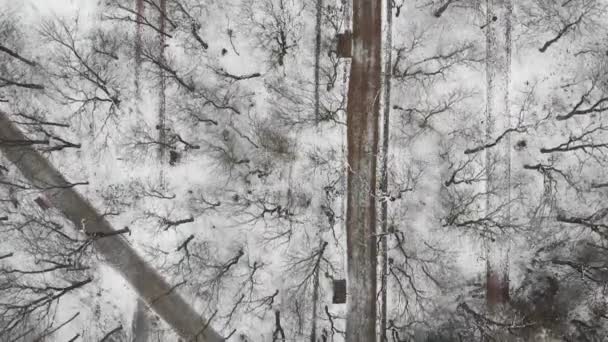 Снігові доріжки в зимовому парку, вид зверху на дрон. Прекрасний ліс зі стежкою. Прекрасний вид на зимовий парк — стокове відео