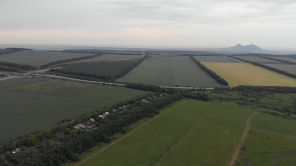 Vista aérea de arriba hacia abajo de 4k casas de campo entre los campos agrícolas a lo largo de la carretera con vistas a la montaña — Vídeo de stock