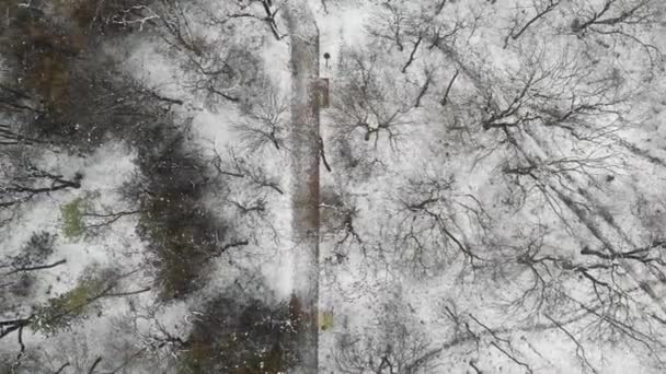 4k вид сверху на зимний парк, голые деревья и заснеженные дорожки с прогулочными людьми — стоковое видео