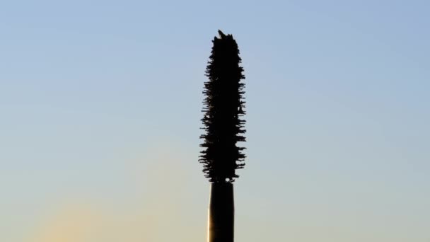 Close-up of black bristles mascara brush rotating on its axis. concept of makeup and beauty of woman — Stock Video