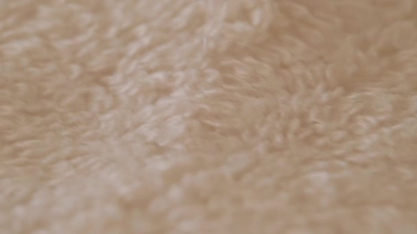 Κοντινό πλάνο του Terry cloth video 4k. Μακρο λεπτομέρειες της υφής σωρό. ύφασμα φόντο — Αρχείο Βίντεο