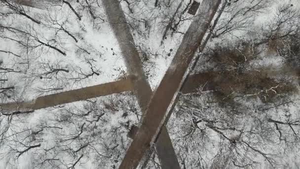 Vista aérea 4k de cima para baixo do parque com caminhos cobertos de neve e pessoas caminhando — Vídeo de Stock