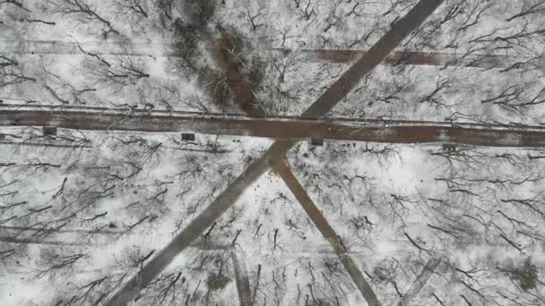 Vista aérea em 4k de cima para baixo do parque com caminhos cobertos de neve e pessoas caminhando — Vídeo de Stock