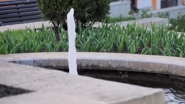 Malá městská fontána v parku zavřít v horkém letním dni — Stock video