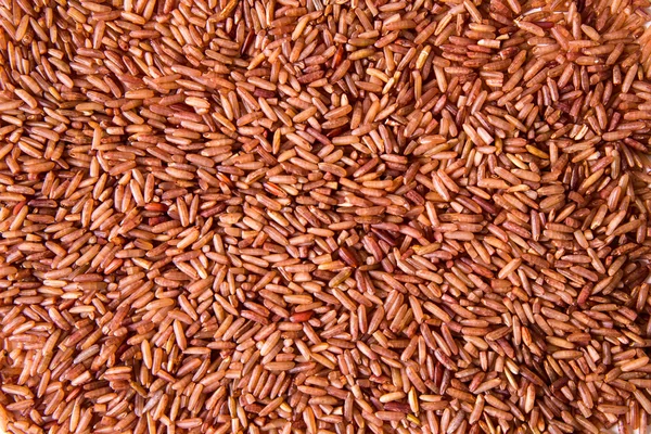 Germinated kahverengi pirinç — Stok fotoğraf