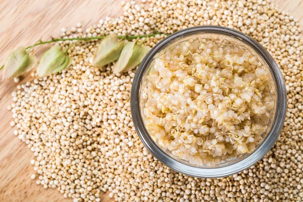 Quinoa organik tohum